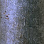 Close up of weathered light pole.